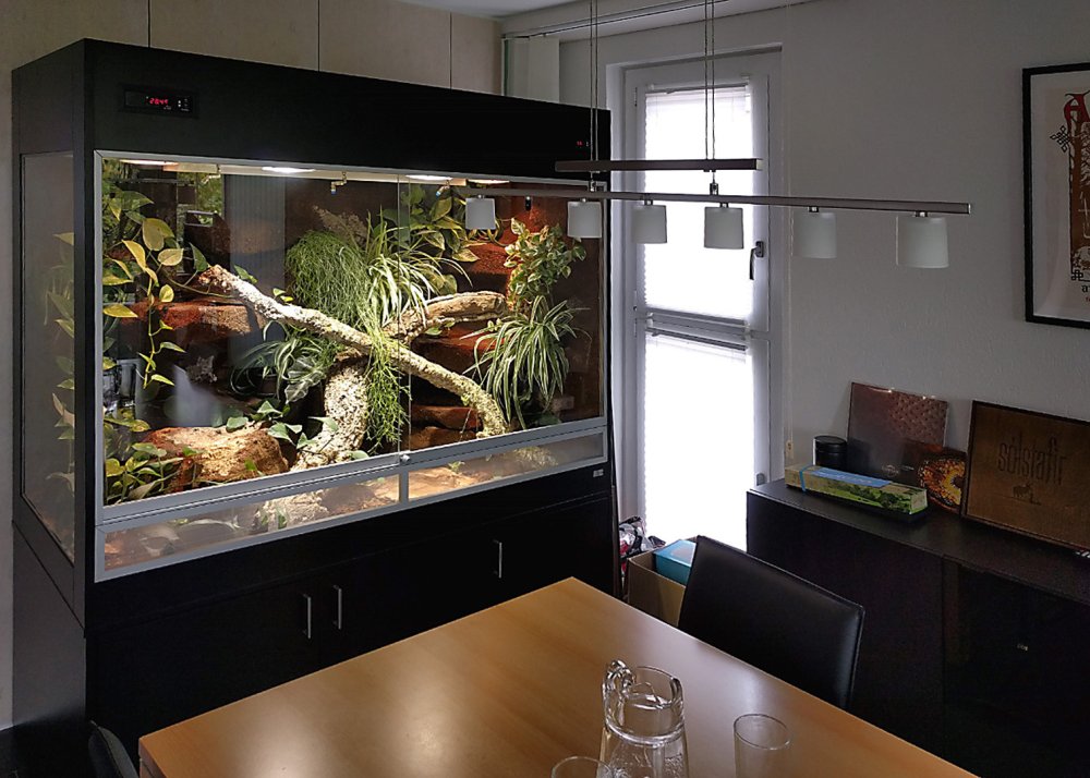 Новогодний декор для террариума