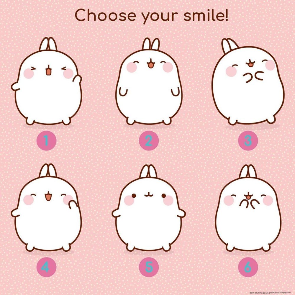 Корейский кролик Моланг