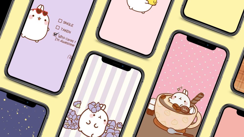 Кролик Моланг