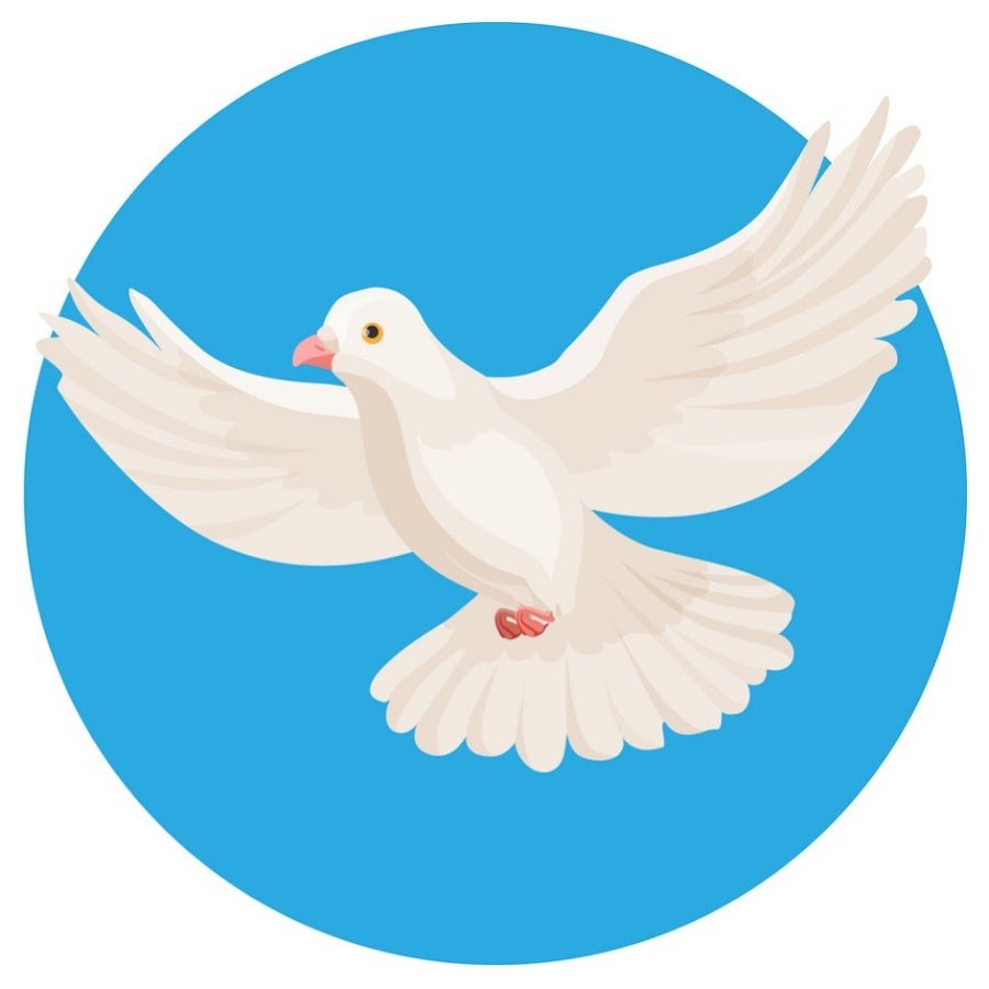 Белый голубь символ