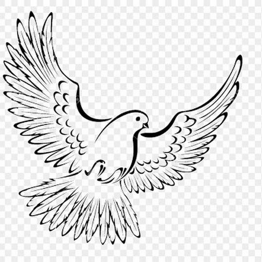 Сердце голубя