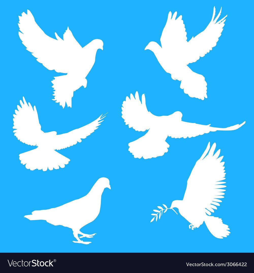 Голубь мира с веточкой оливы