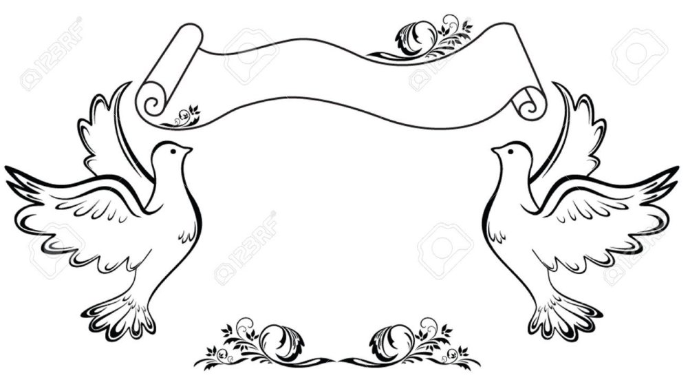 Голубь трафарет на прозрачном фоне