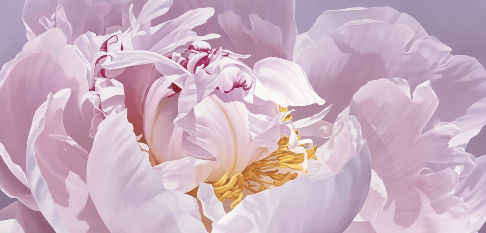 Пионы Marianne Broome