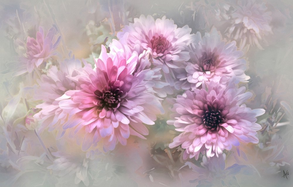 Цветы на черном фоне живопись