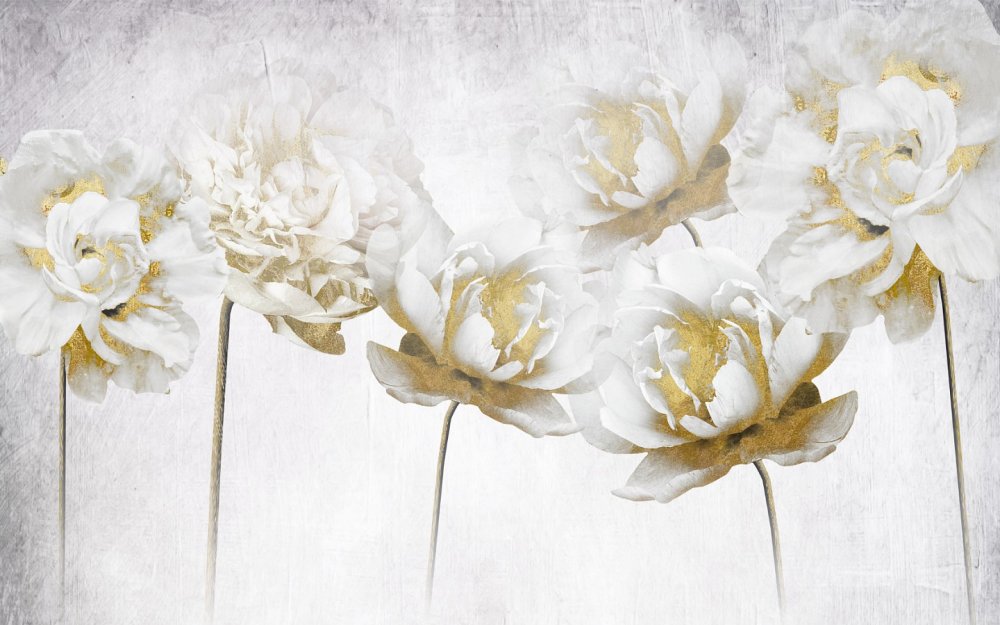 Jenny Fusca картины