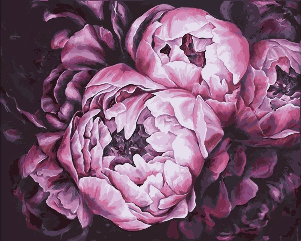 Игорь Левашов пионы