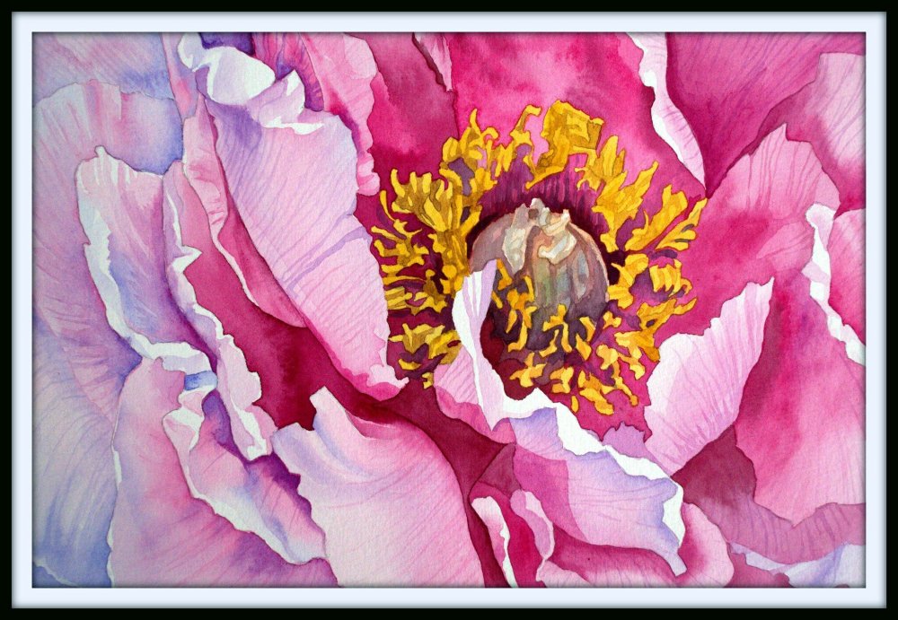 Игорь Левашов тюльпаны