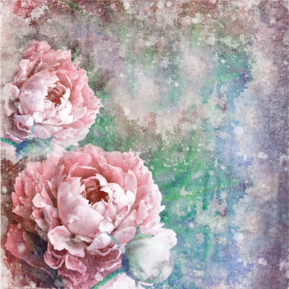Пудровые пионы картина