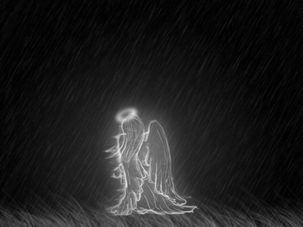 Крылья на черном фоне