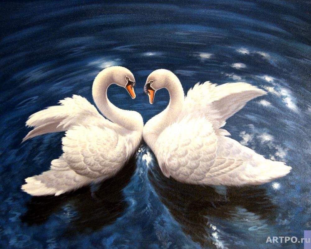 Любовь и лебеди
