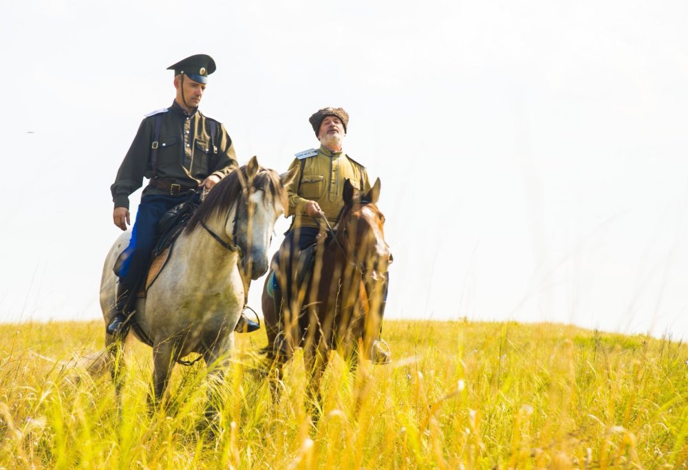 Донской казак на коне в степи