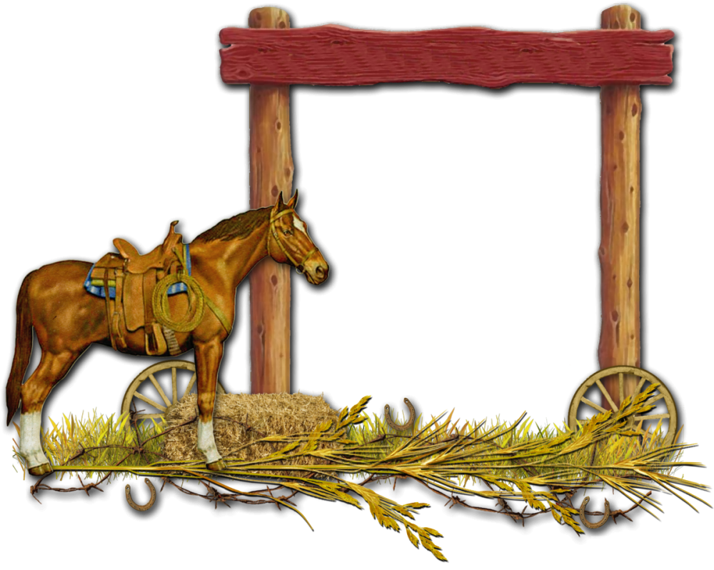 Фоторамки с лошадьми