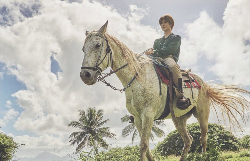 Принц лашадом