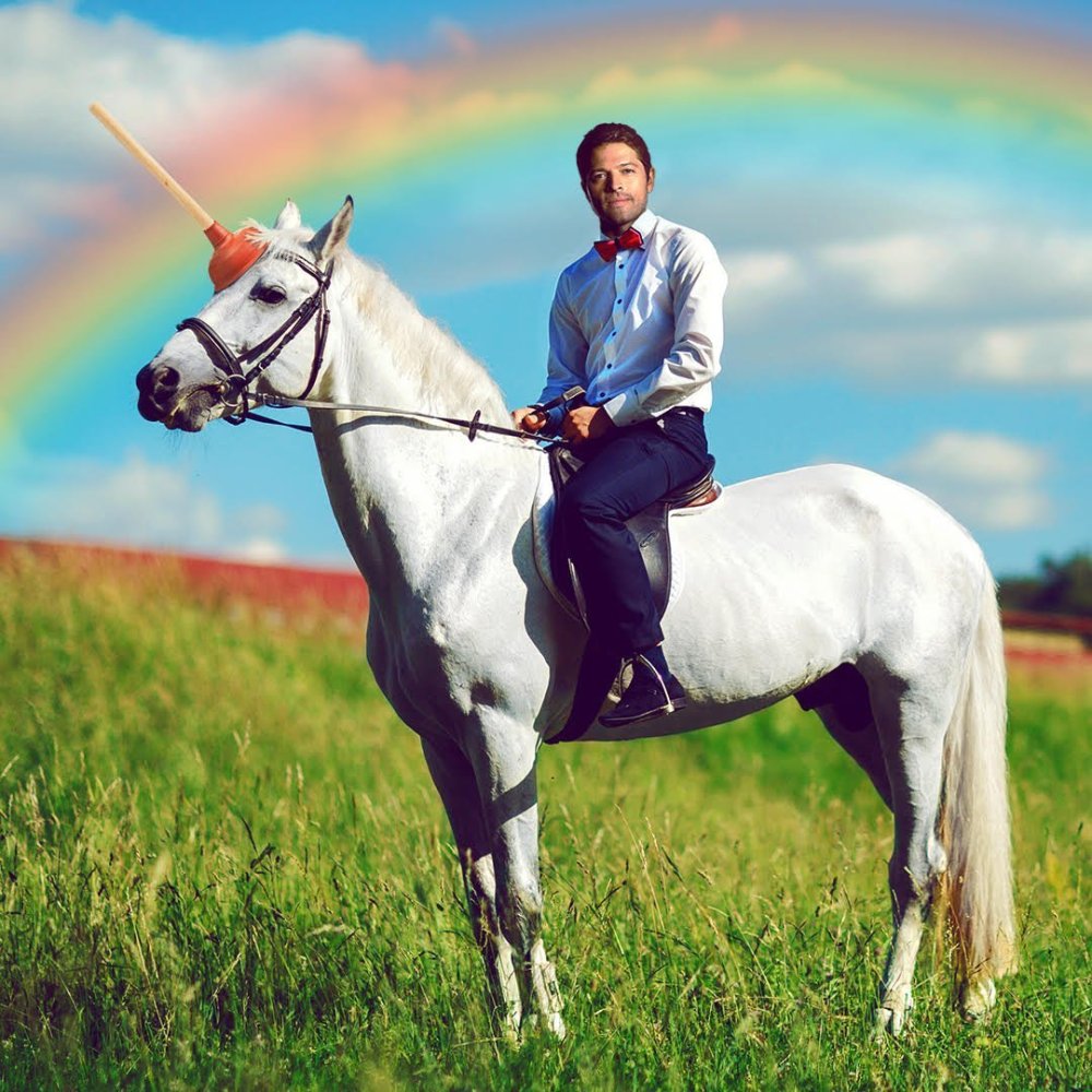 Миша Коллинз на лошади