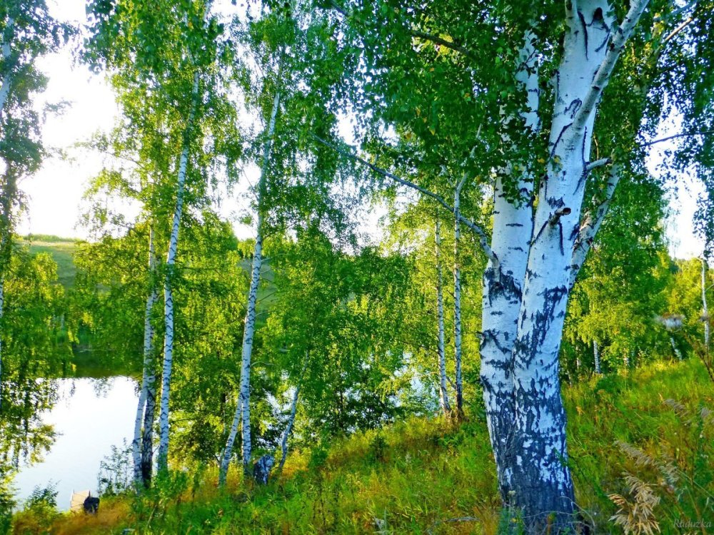 Озеро Березки Самара