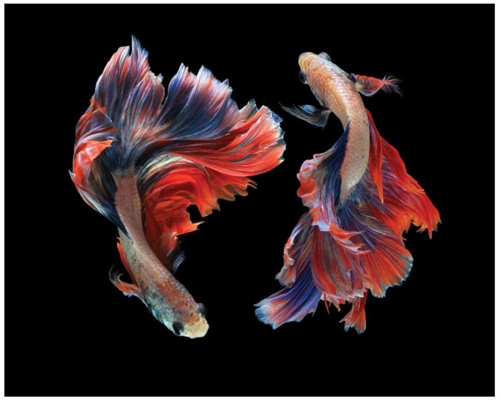 Рыбки на голубом фоне