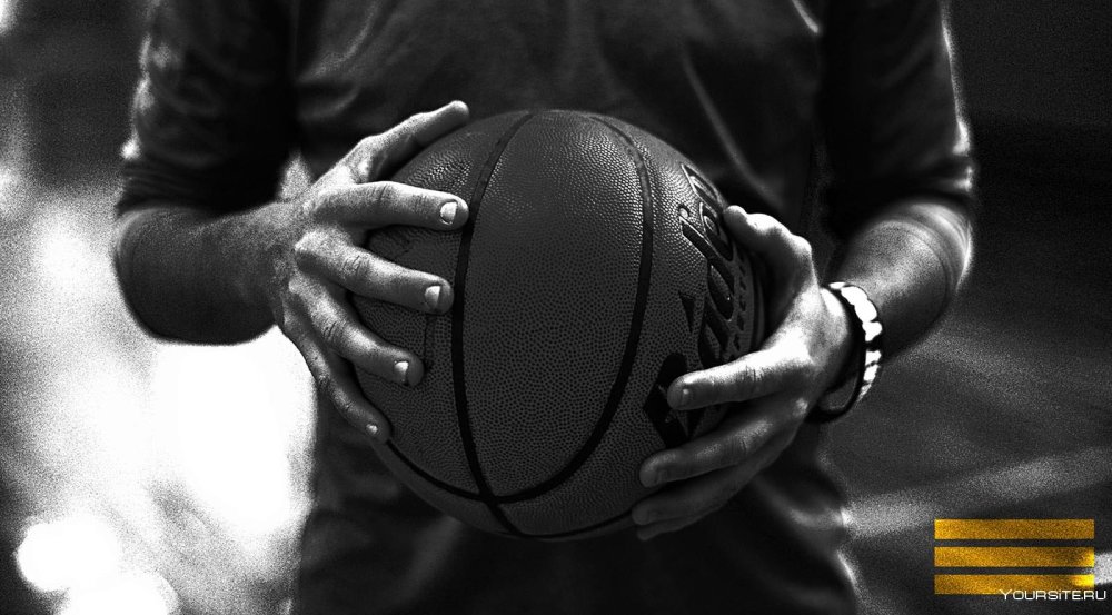 Пальмы площадка уличная