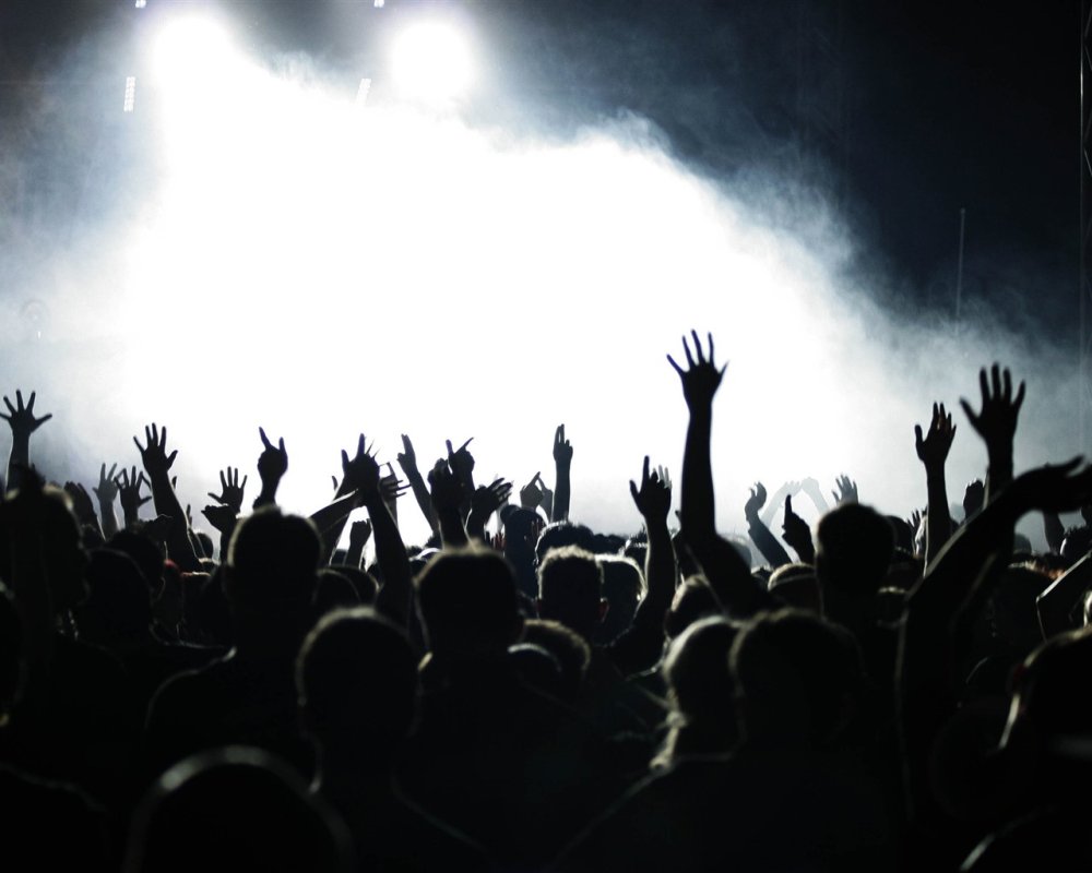Толпа на концерте