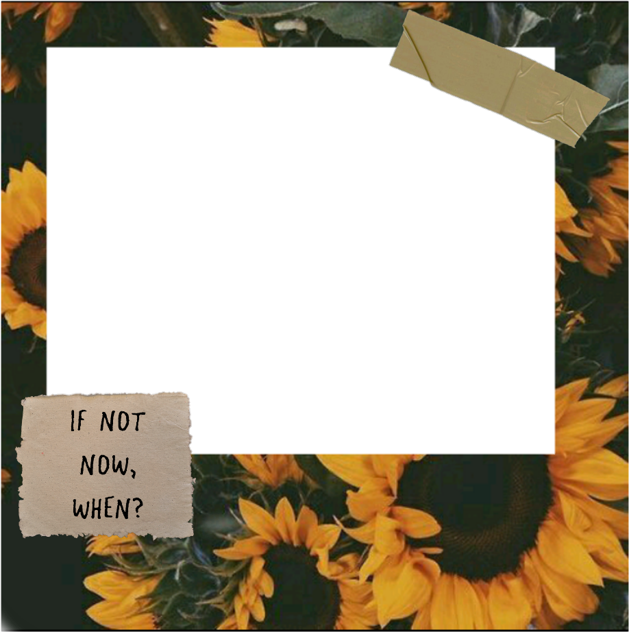 Полароидные рамки редактор