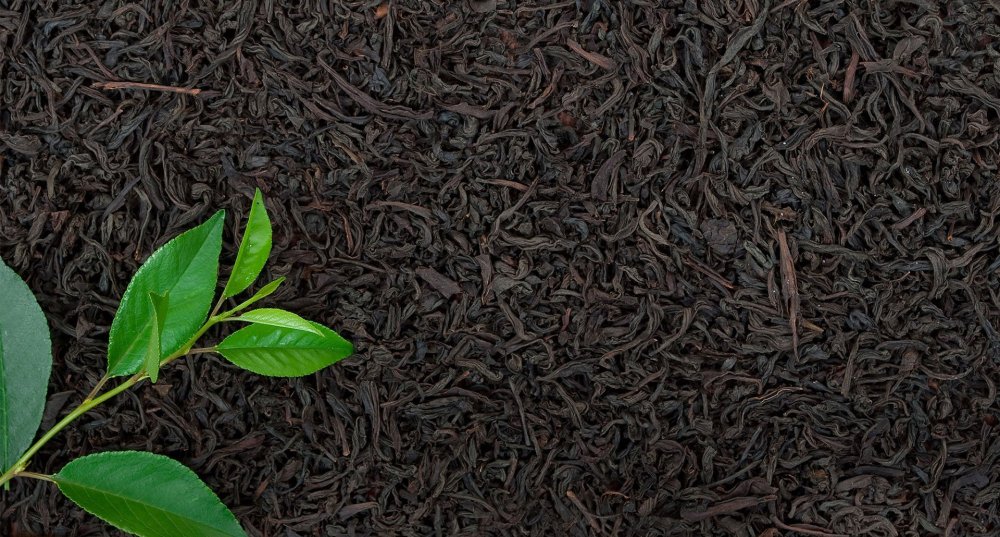 Иллюстрации тематика чая