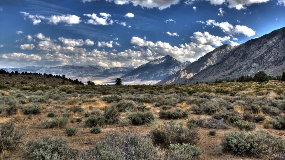 Пустыня Мохаве Лас Вегас