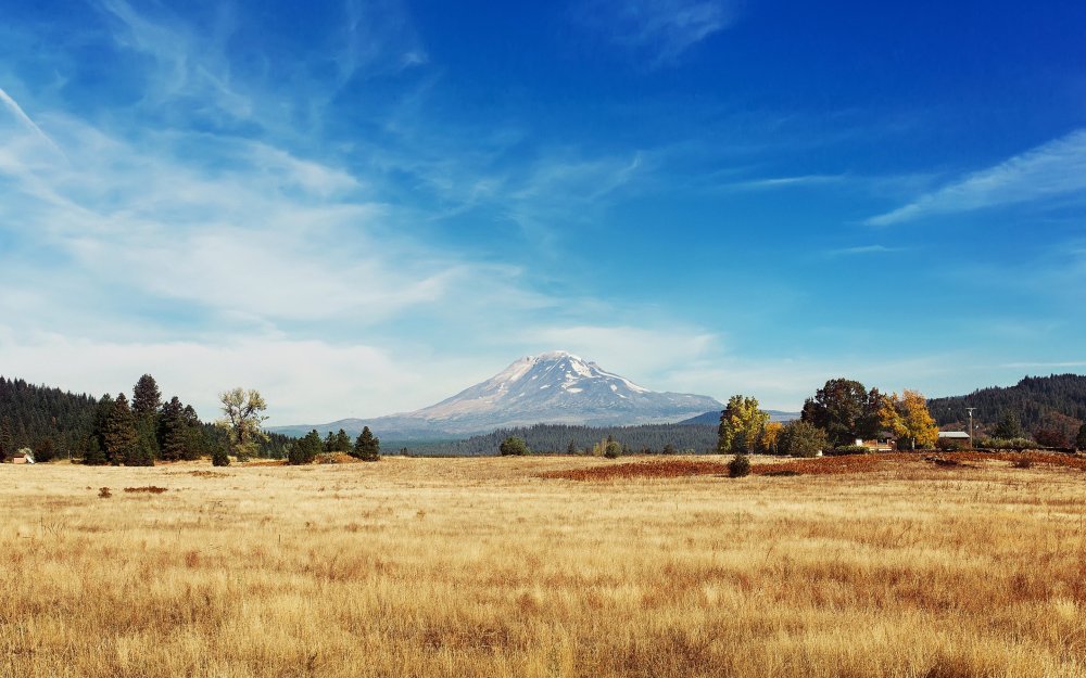 Лес степь горы
