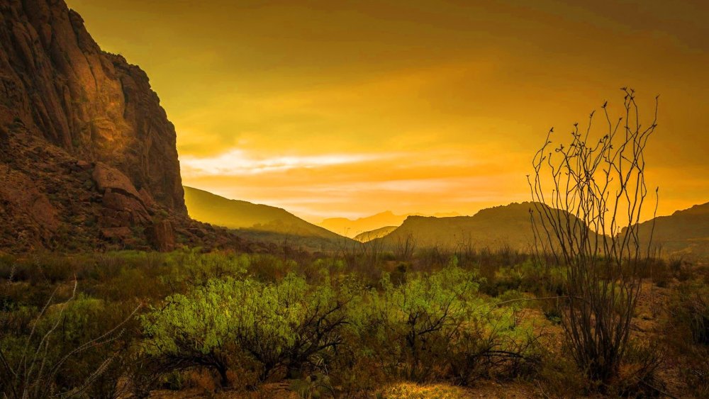 Джексонские прерии