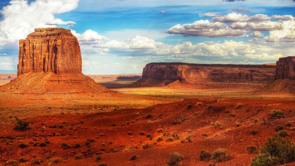 Штат Аризона пустыни