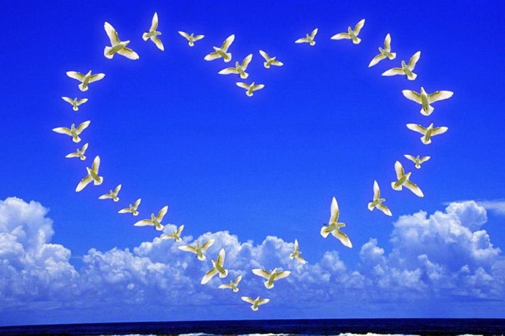 Эмблема волонтеров