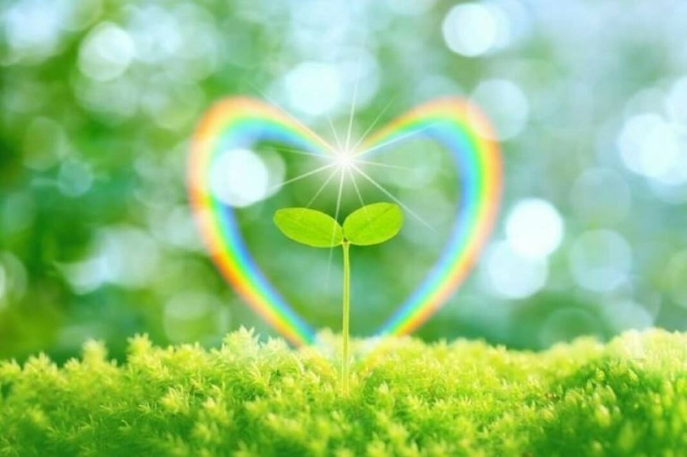 Гармония и радость