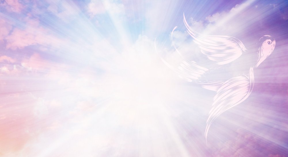 Сердце в руках на прозрачном фоне