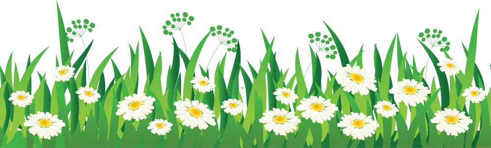 Ромашки мультяшные