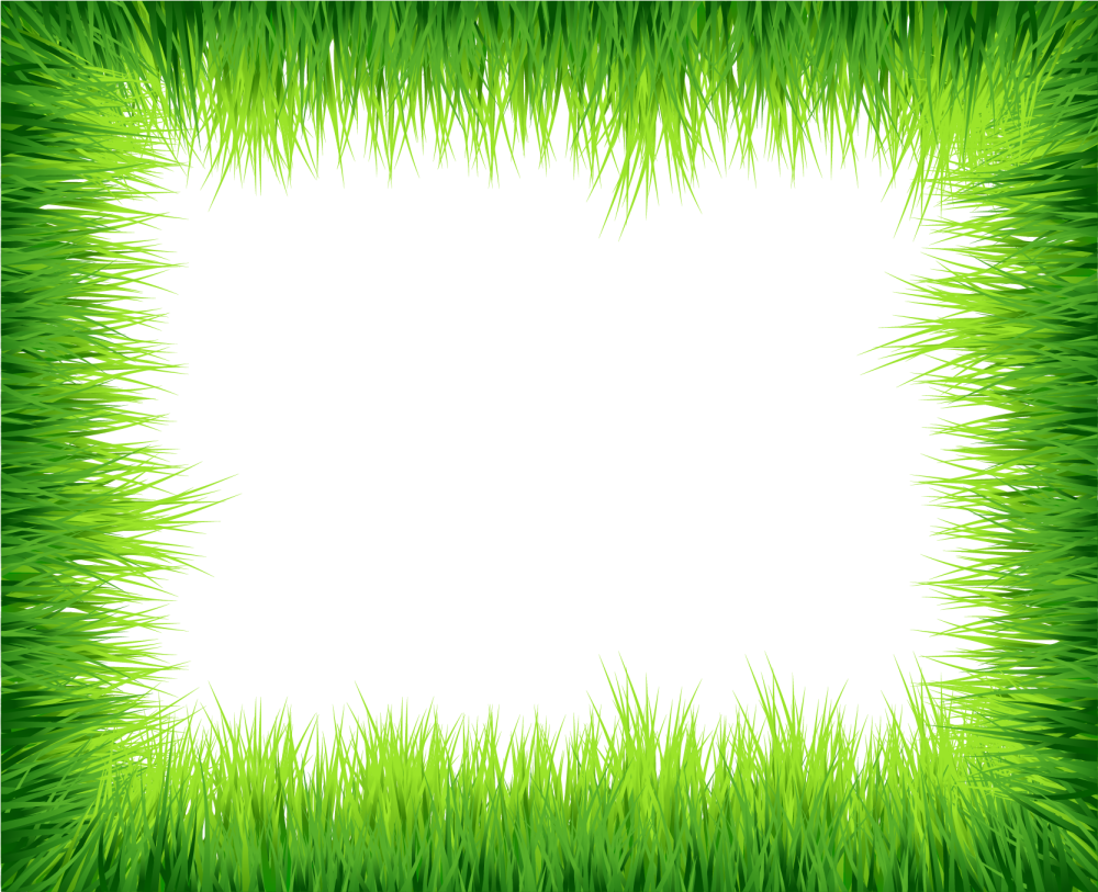 Зеленая рамка на прозрачном фоне