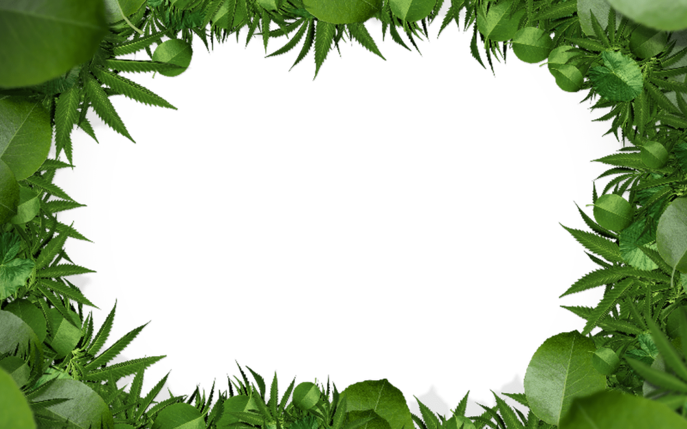 Рамка из зелени