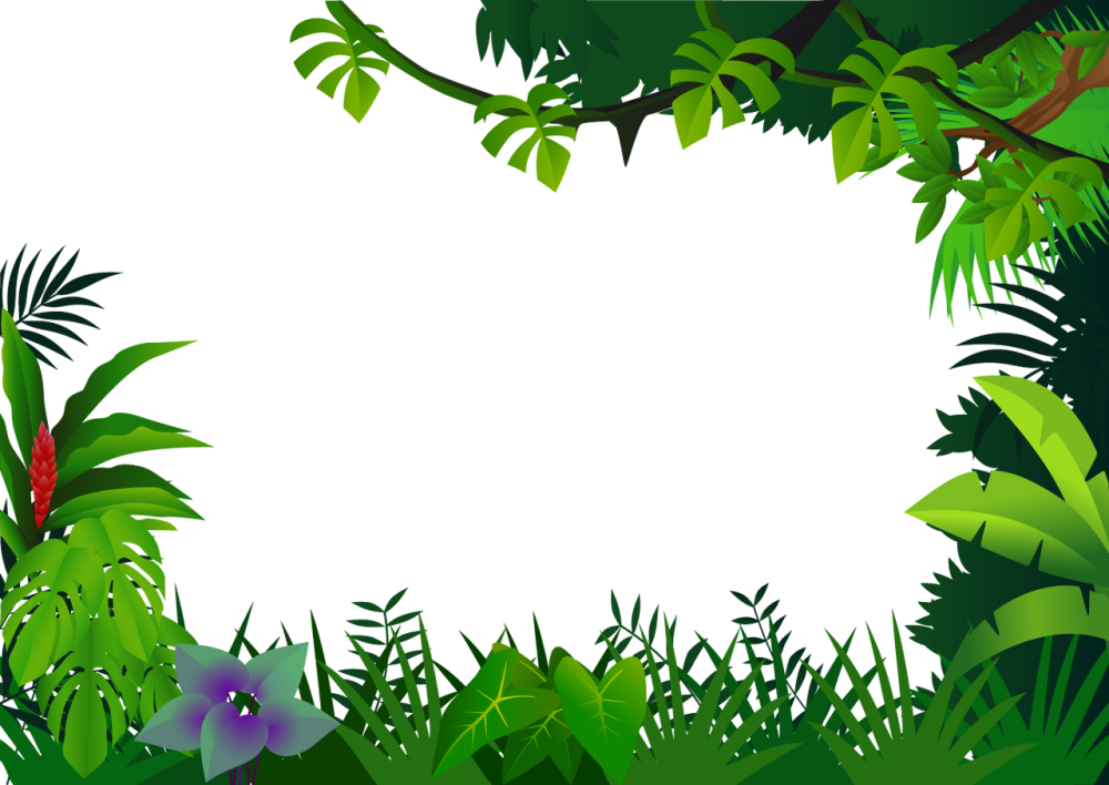 Рамка джунгли