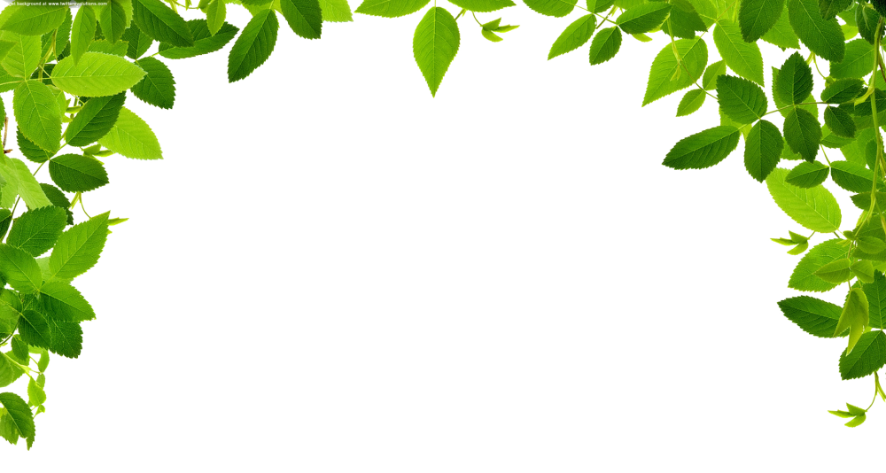 Рамка листья