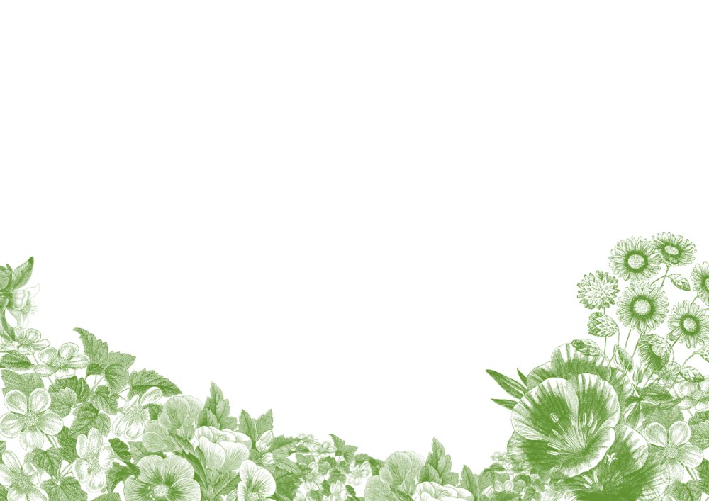 Рамка Цветочная зеленая