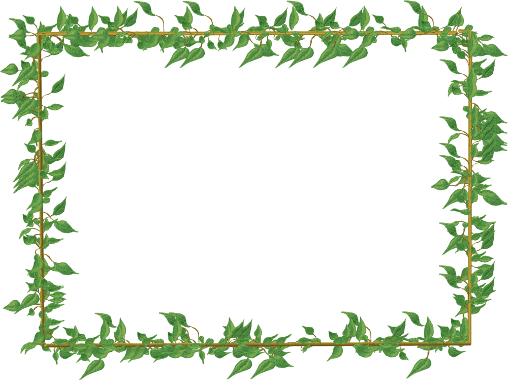 Рамка зелень