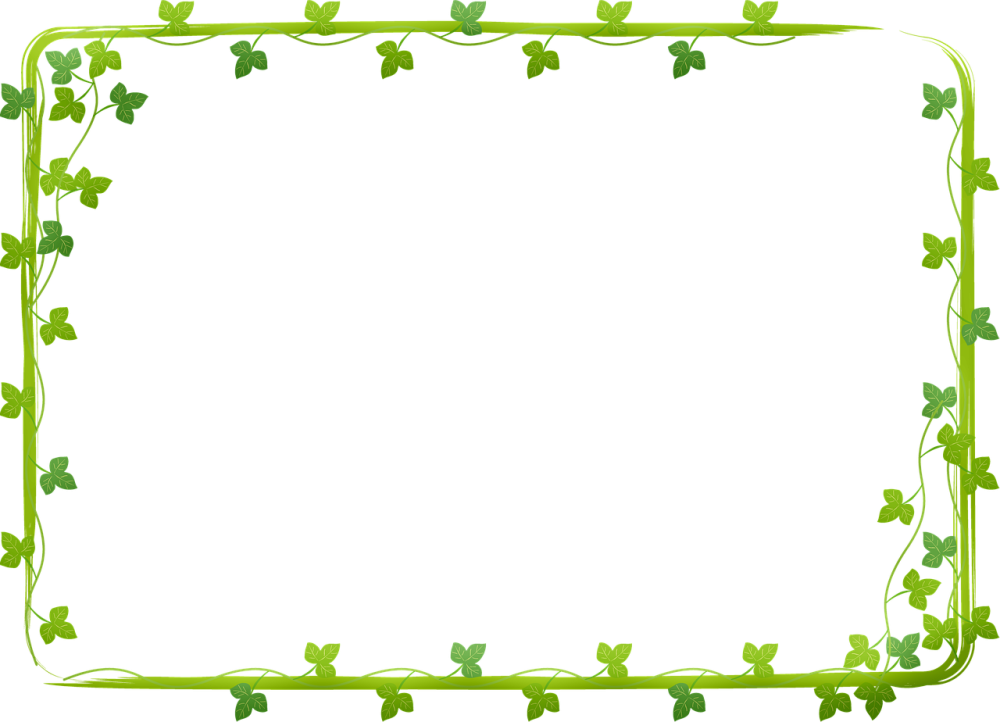 Рамка зеленая