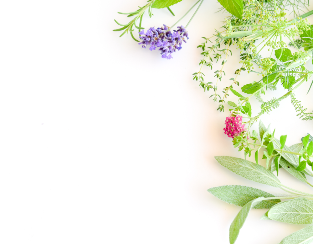 Рамки с лекарственными травами