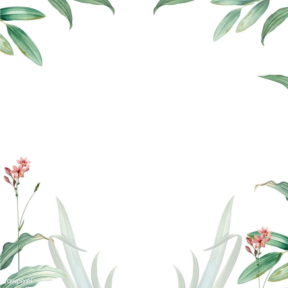 Рамка из растений