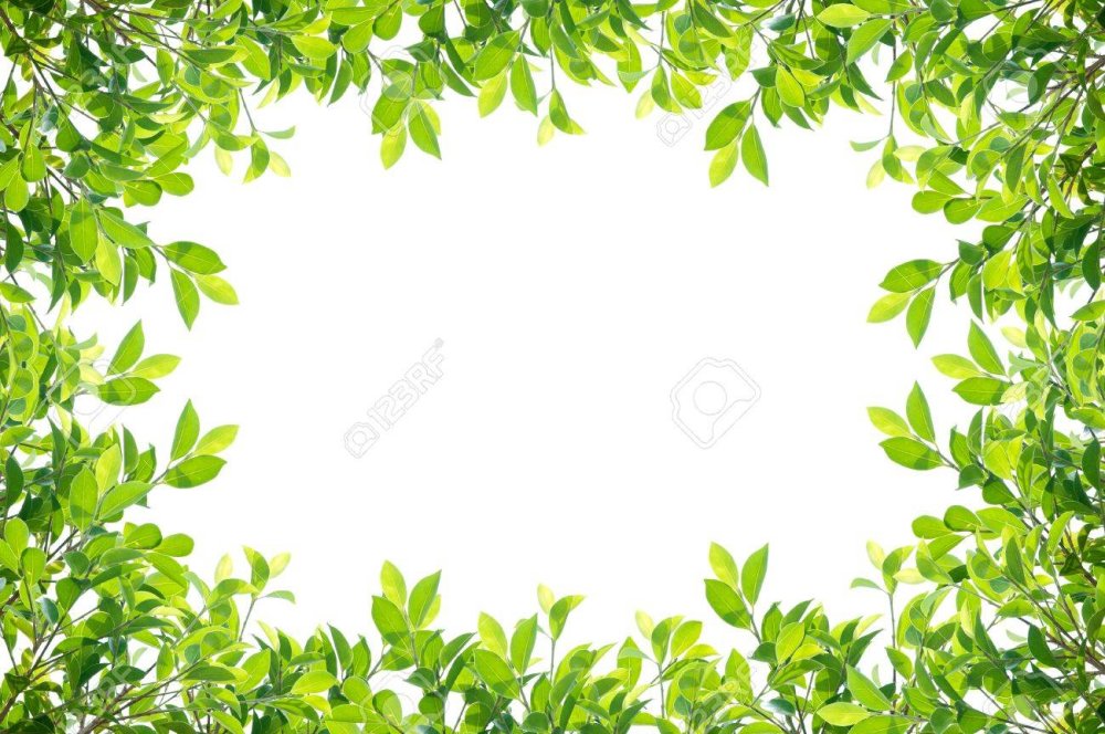 Рамка листья