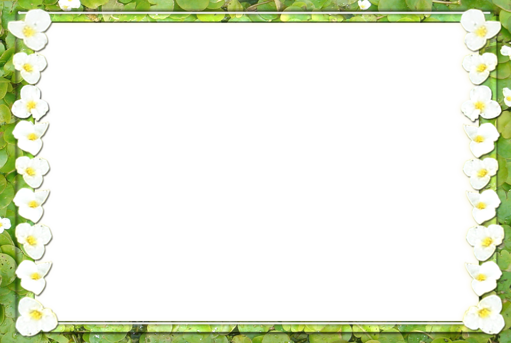 Рамка для презентации