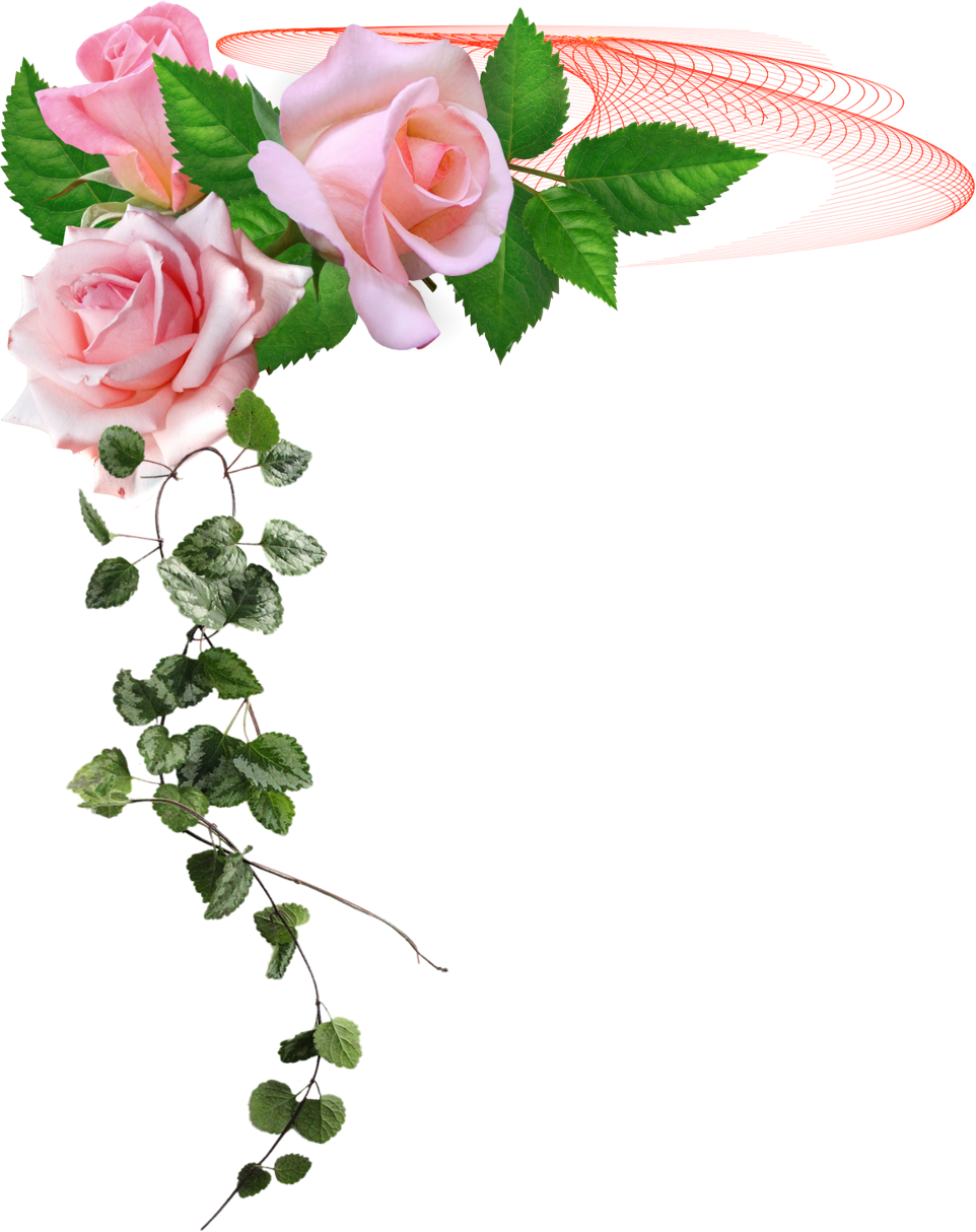 Цветы уголок