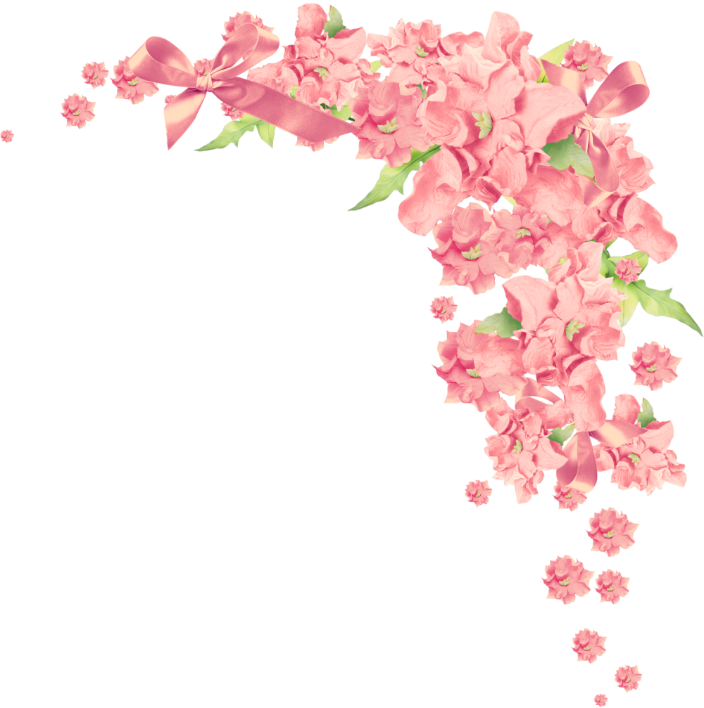 Цветы на прозрачном фоне