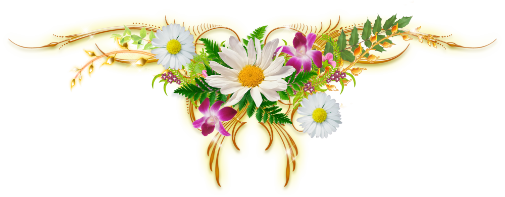 Цветочные бордюры на прозрачном фоне