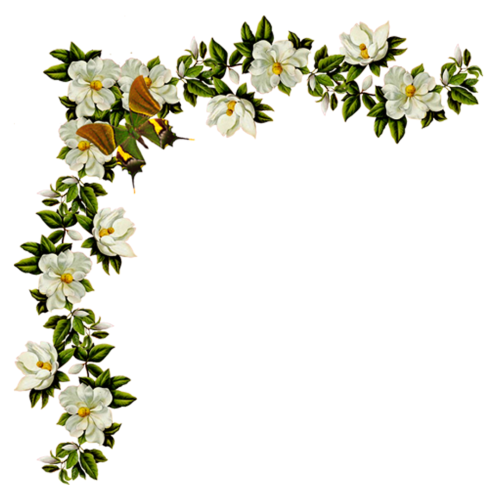Обрамление из цветов