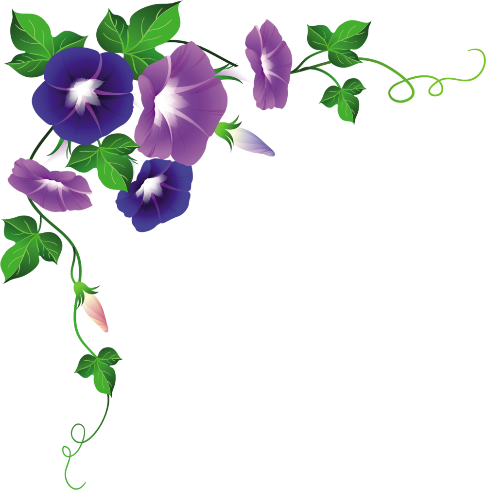 Цветочные уголки на прозрачном фоне