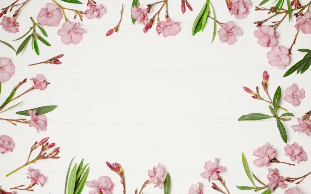 Красивая рамка заднего фона